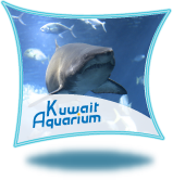 Kuwait Aquarium